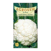 Hectarul - Seminte Conopida� Snowball  X  AGROSEM 8 g